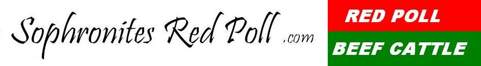 http://www.sophronitesredpoll.com
